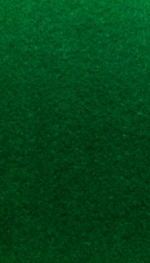 Иллюстрация Фетр Каркас 1 мм/ Зеленый темный - лист 20x30 см