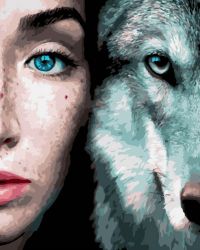 Иллюстрация Картина по номерам 40х50 см/ Девушка и волк GX 33002