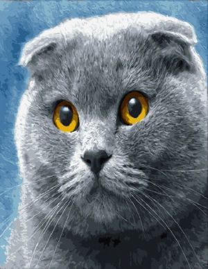 Иллюстрация Картина по номерам 40х50 см/ Голубой кот GX 31143