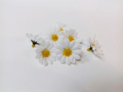 Иллюстрация Цветок Ромашки 38 мм, 6 шт, УПАК