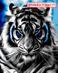 Иллюстрация Картина по номерам 40х50 см/ Абстрактный тигр GX 27984