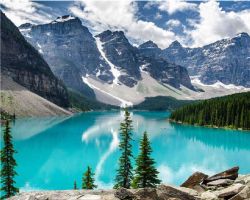 Иллюстрация Картина по номерам 40х50 см/ Ели на фоне горного озера Канада GХ 24574