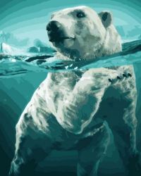 Картина по номерам 40х50 см/ Белый медведь GX 32768 Эксклюзив!!!