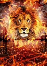 Картина по номерам 40х50 см/ Огненный лев GX 31318 Эксклюзив!!!