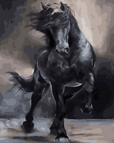 Картина по номерам 40х50 см/ Черный конь GX 31268, товары для творчества в  Томске — Хобби-Арт