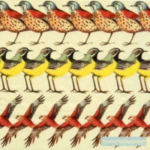 Иллюстрация Британские птицы - салфетка 33х33 см для декупажа