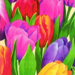 Иллюстрация Время тюльпанов -  салфетка для декупажа 33х33 см