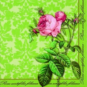 Иллюстрация Кустовая роза на зеленом - салфетка 33х33см