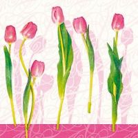 Иллюстрация Тюльпаны мечты - салфетка 33х33 см для декупажа