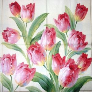 Иллюстрация Цветущие тюльпаны в кремовом -  салфетка для декупажа 33х33 см
