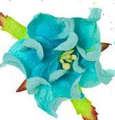 Иллюстрация Гардении цветок /Голубой небесный, 5 см, ScrapBerry's