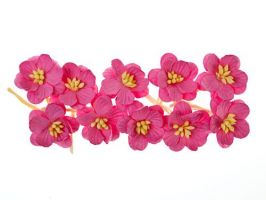 Иллюстрация SCB300205 Цветки вишни /Розовый яркий, 10 шт, ScrapBerry's