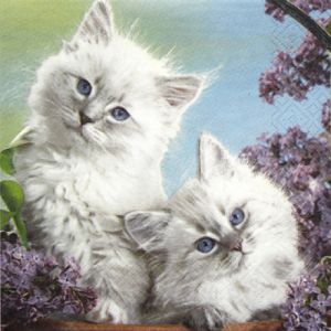Иллюстрация Милые котята - салфетка 33х33 см