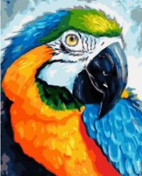 Иллюстрация Картина по номерам 40х50 см/ Яркий попугай GХ 33153