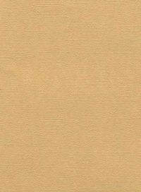 Иллюстрация Кардсток Холст/ ЛАТТЕ - картон 235 гр/м2, 30.5х30.5 см