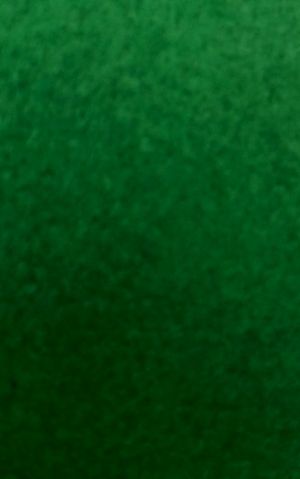 Иллюстрация 65 Фетр клеевой 1 мм/ Зеленый - лист 20х30 см, ScrapBerry's