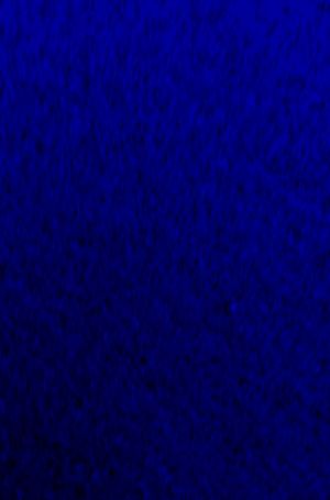 Иллюстрация 57 Фетр клеевой 1 мм/ Синий - лист 20х30 см, ScrapBerry's