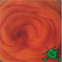 Иллюстрация Шерсть 50 гр/ Оранжевая - для валяния, полутонкая 100%, Троицк