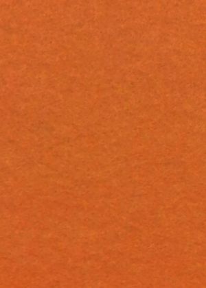 Иллюстрация Фетр Каркас 1 мм/ Оранжевый - лист 20x30 см