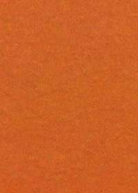 Иллюстрация Фетр Каркас 1 мм/ Оранжевый - лист 20x30 см