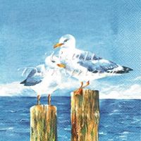 Иллюстрация IHR-72440 Чайки на голубом - салфетка 33х33 см для декупажа