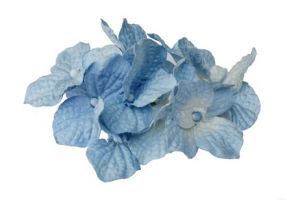 SCB4010121 Букетик гортензии, голубой, 10 цветочков