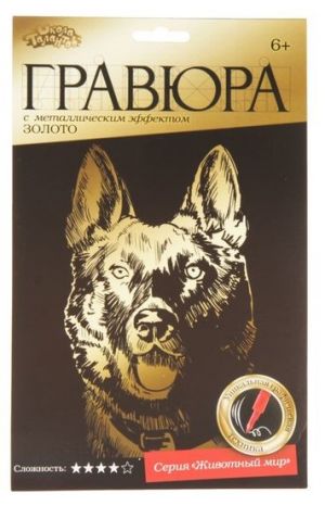 Иллюстрация Гравюра/ Собака, золото, А5 + штихель