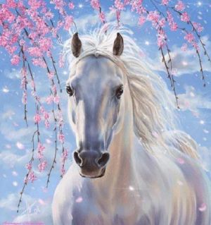 Иллюстрация Картина по номерам 40х50 см/ Белый конь GX8528