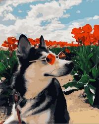 Иллюстрация Картина по номерам 40х50 см/ Собака в очках GX 33507 Эксклюзив!!!