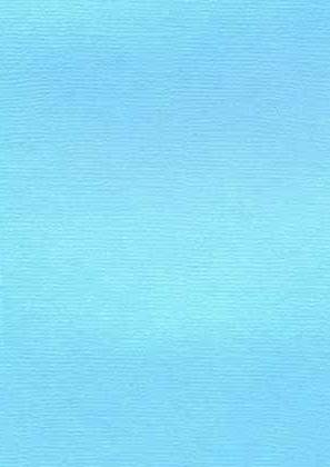 Иллюстрация Кардсток Холст/ ТИХИЙ ОКЕАН - картон 235 гр/м2, 30.5х30.5 см