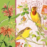 Иллюстрация Райские птички - салфетка Colourful Life, 33х33 см для декупажа, Германия