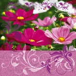 Иллюстрация Салфетка/ Розовые космеи - Colourful Life, 33х33 см для декупажа, Германия