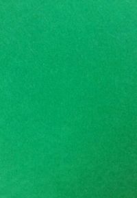 Иллюстрация Фетр Каркас 1 мм/ Зеленый майский - лист 20x30 см