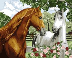 Иллюстрация Картина по номерам 40х50 см/ Две лошади GX9040