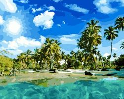 Иллюстрация Картина по номерам 40х50 см/ Райский остров OK 10354 Эксклюзив!!!