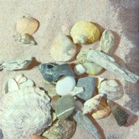 Иллюстрация Ракушки на песке - салфетка 33х33 см для декупажа